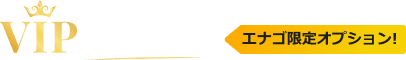 vip-editor-logo